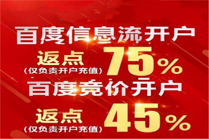 某品牌SEM推广策略的成效与启示